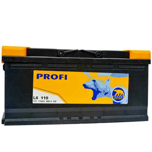 Baterie auto BAREN (Profi) 110Аh E