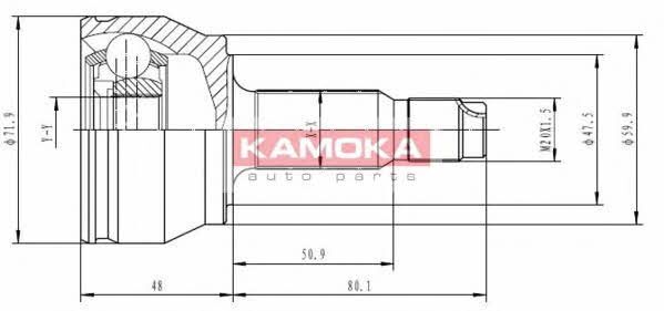 Set W-6348