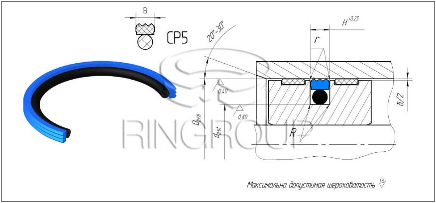 Garnitura a pistonului CP5 (TPE)-055